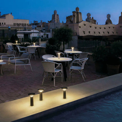 Flex Table Lamp