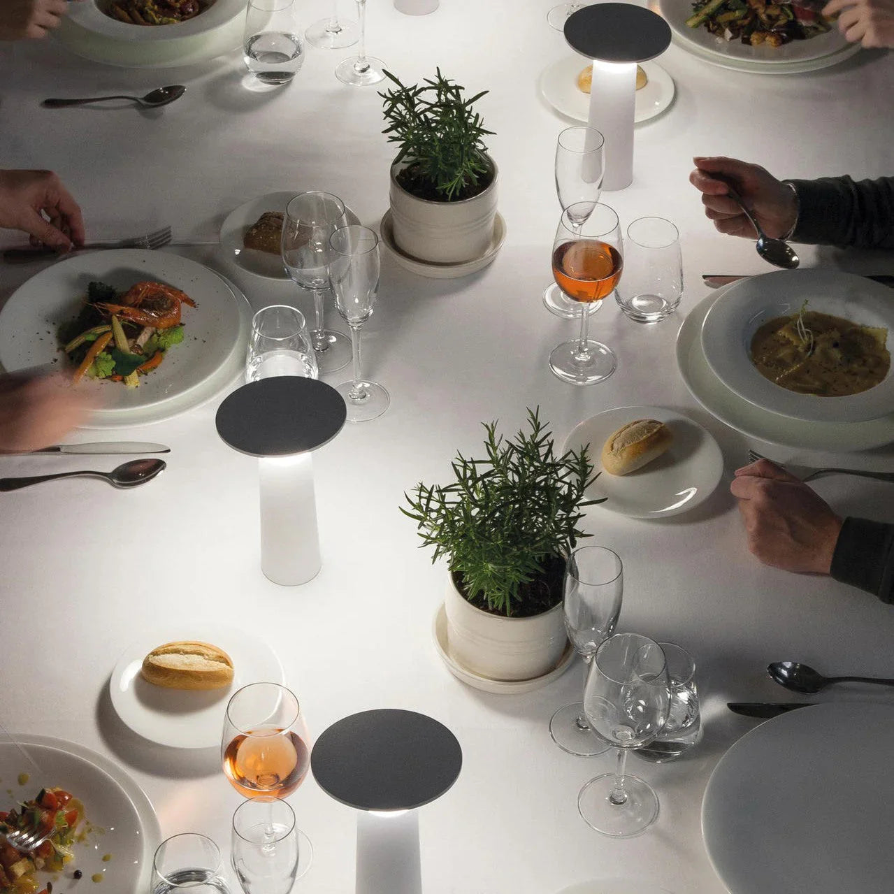 Flex Table Lamp